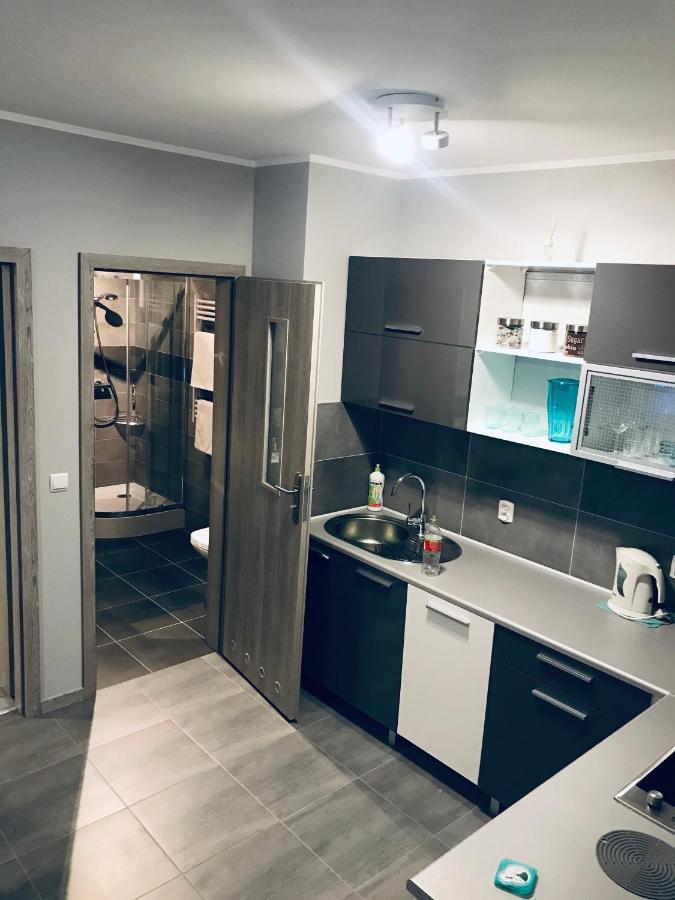 Apartament C18 Jelenia Gora Luaran gambar